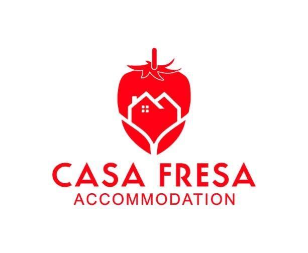 Casa Fresa - King Street Apartments Dundee Esterno foto